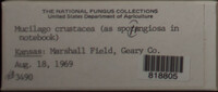 Image Associated With the Occurence